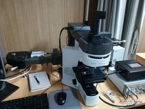 红外与拉曼光谱技术 原理、应用与技术交流综述